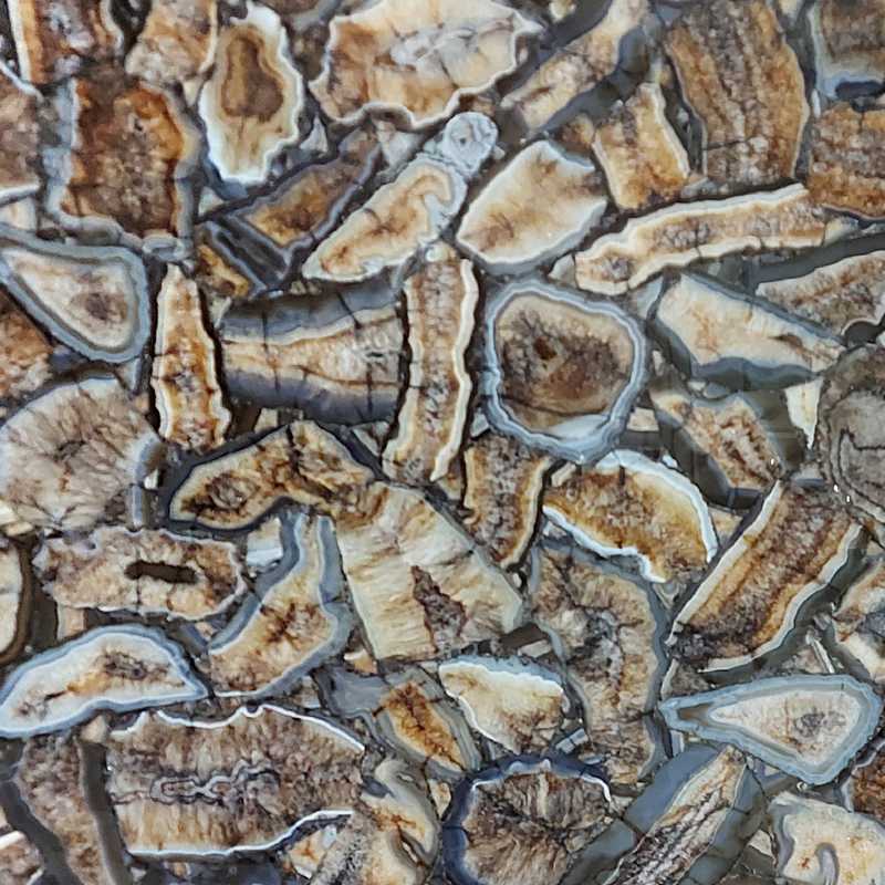 AGATE PHEONIX GIANT 20MM