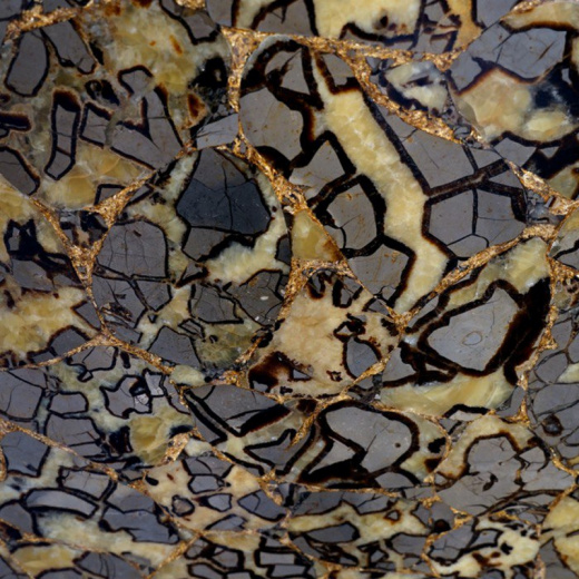 SEPTARIAN WITH GOLD 20MM